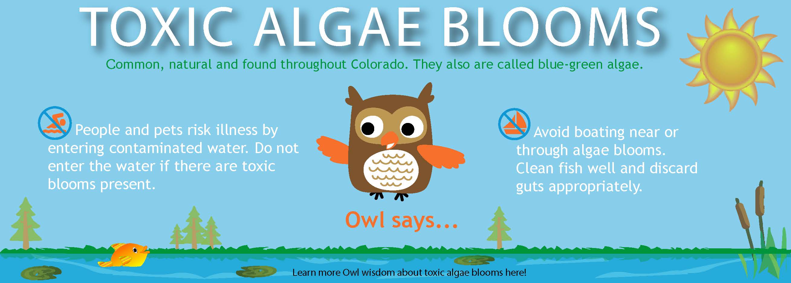 Toxic Algae Blooms