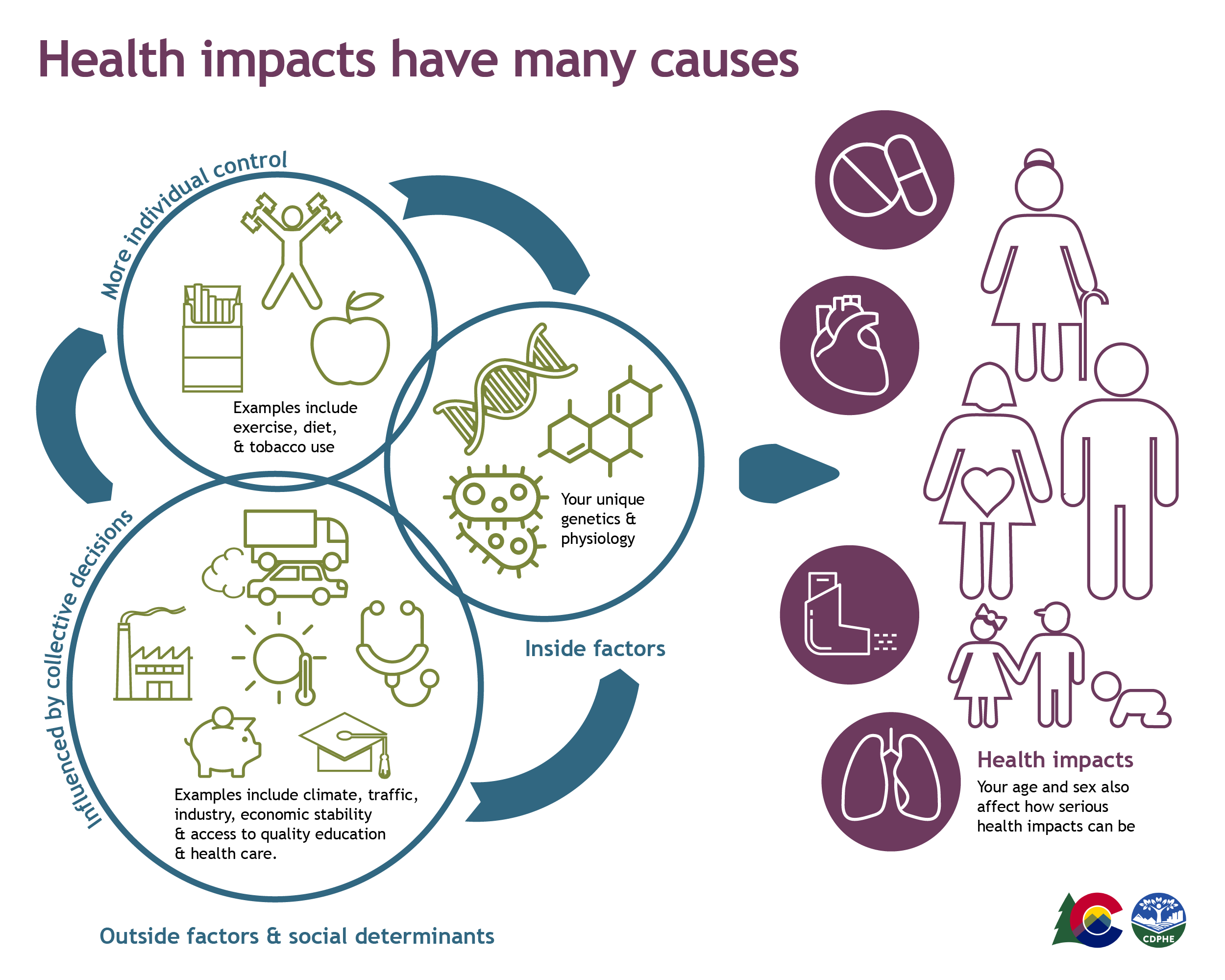 Graphic shows that health impacts can result from a combination of many factors
