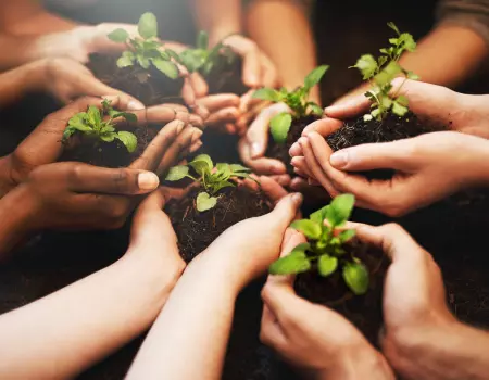 Hands holding plants in soil